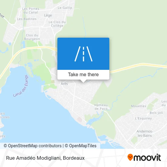 Rue Amadéo Modigliani map