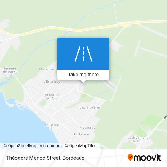 Rue Théodore Monod map