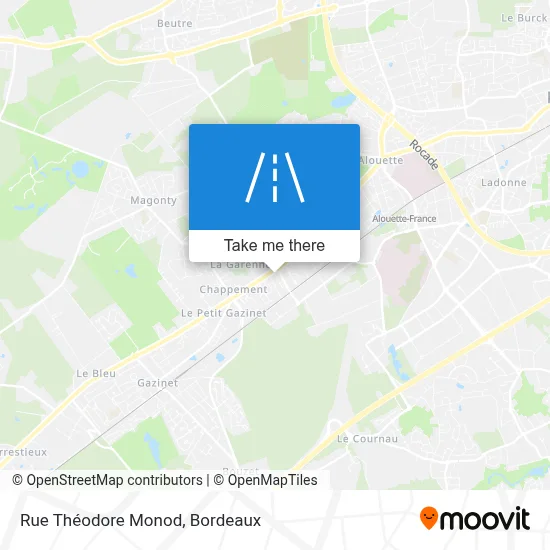 Rue Théodore Monod map