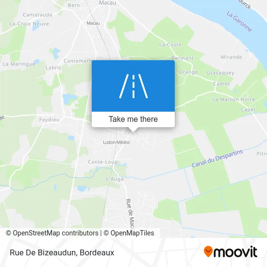 Rue De Bizeaudun map