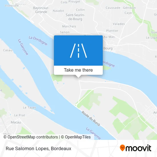 Rue Salomon Lopes map