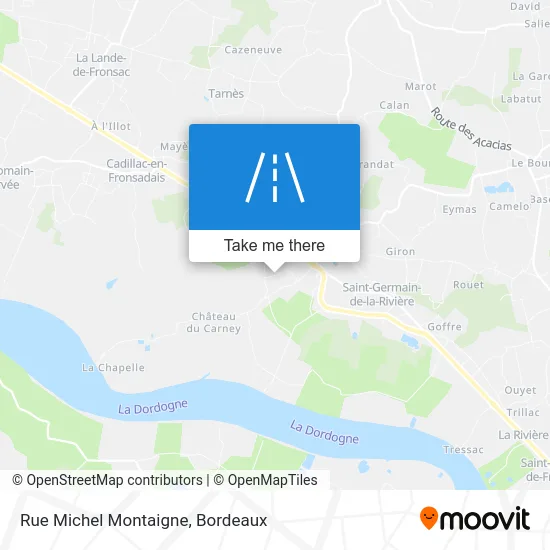 Rue Michel Montaigne map