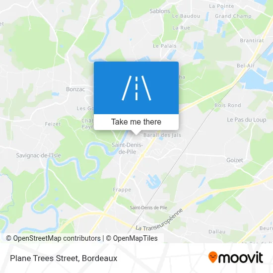 Rue Des Platanes map