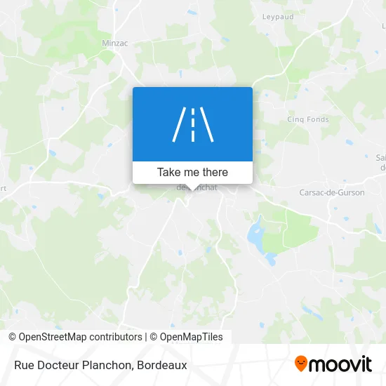 Rue Docteur Planchon map