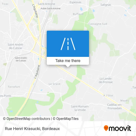 Rue Henri Krasucki map