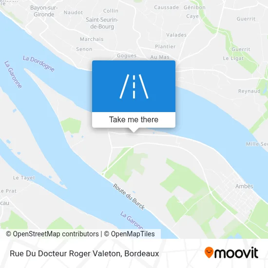 Rue Du Docteur Roger Valeton map