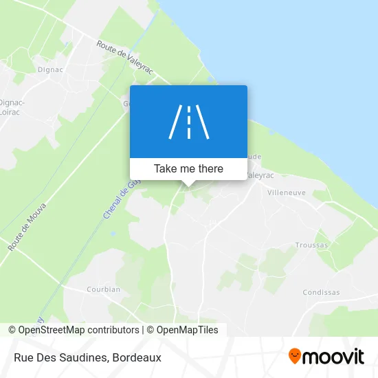 Rue Des Saudines map