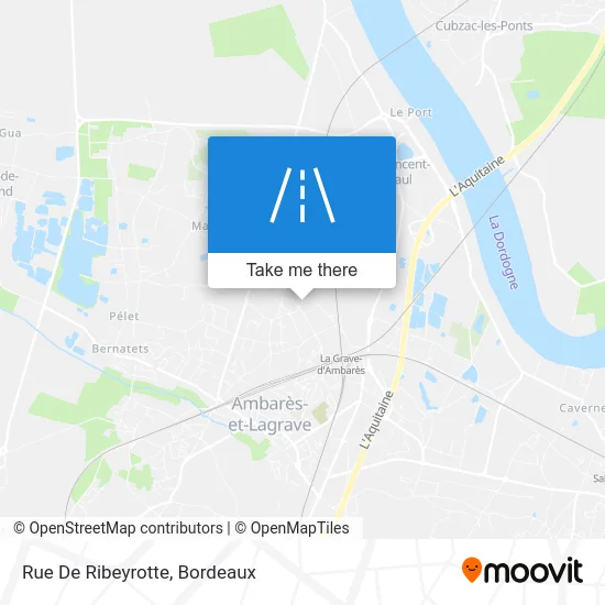 Rue De Ribeyrotte map