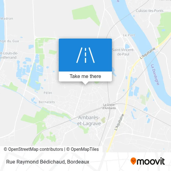 Rue Raymond Bédichaud map