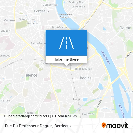 Rue Du Professeur Daguin map