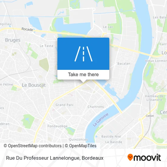 Rue Du Professeur Lannelongue map