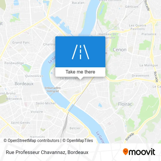 Rue Professeur Chavannaz map