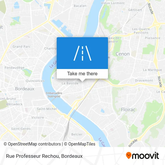 Rue Professeur Rechou map