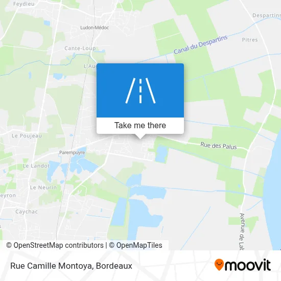 Rue Camille Montoya map