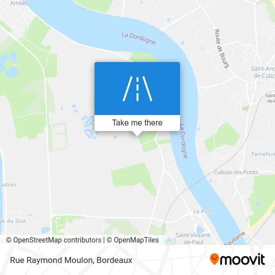 Rue Raymond Moulon map