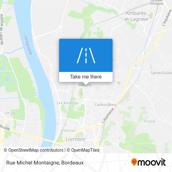 Rue Michel Montaigne map