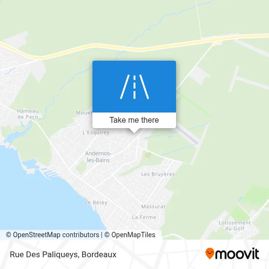 Rue Des Paliqueys map