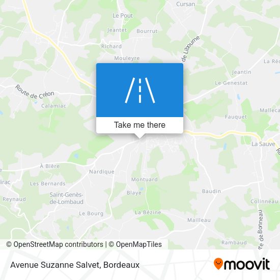 Avenue Suzanne Salvet map