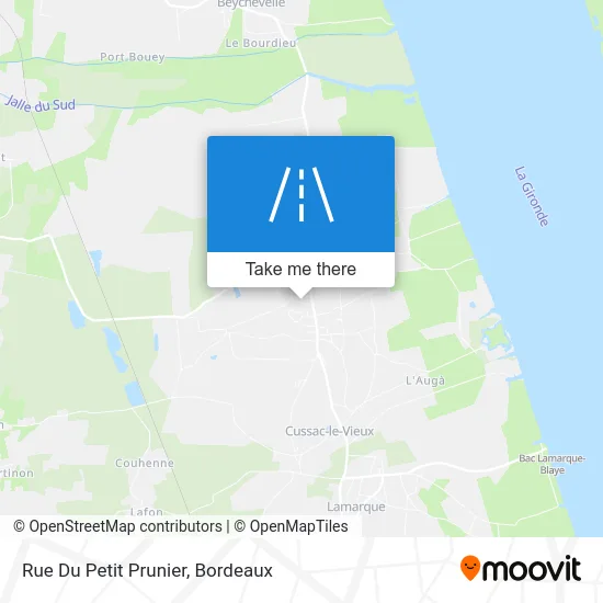 Rue Du Petit Prunier map