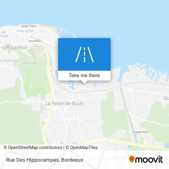 Rue Des Hippocampes map