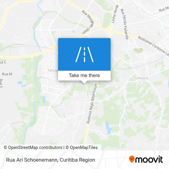 Rua Ari Schoenemann map