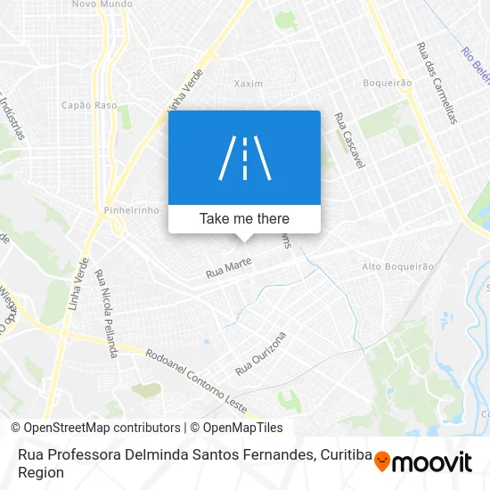 Rua Professora Delminda Santos Fernandes map