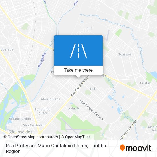 Rua Professor Mário Cantalício Flores map