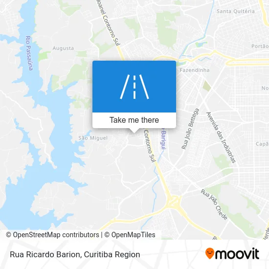 Rua Ricardo Barion map