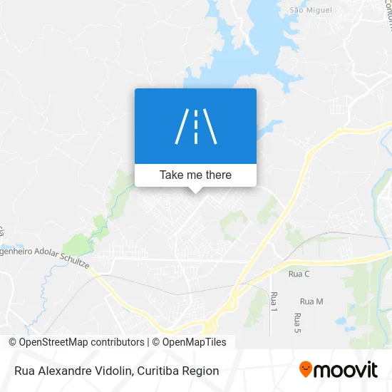 Rua Alexandre Vidolin map