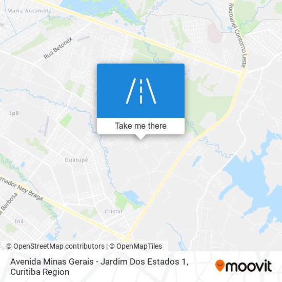 Avenida Minas Gerais - Jardim Dos Estados 1 map