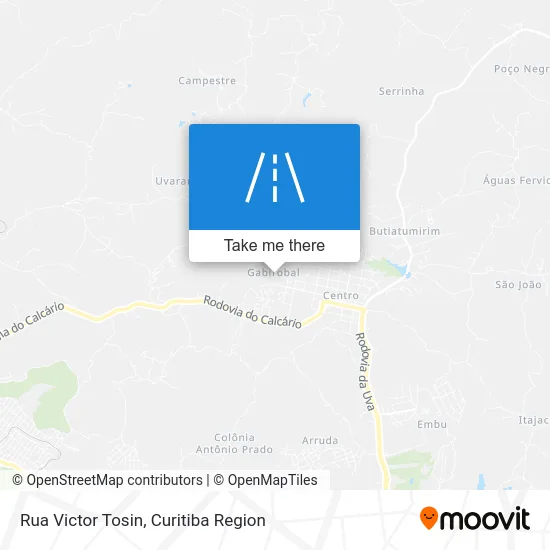 Rua Victor Tosin map