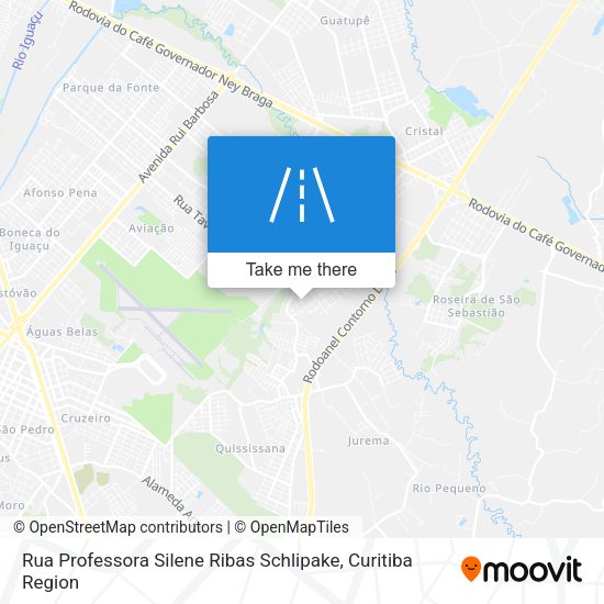 Rua Professora Silene Ribas Schlipake map