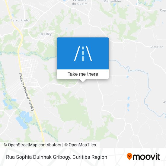 Rua Sophia Dulnhak Gribogy map