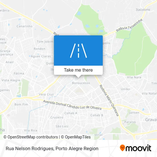 Rua Nelson Rodrigues map
