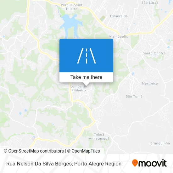 Rua Nelson Da Silva Borges map