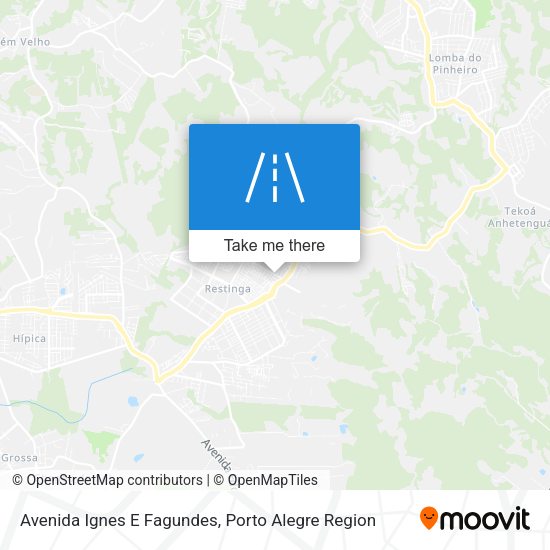 Avenida Ignes E Fagundes map