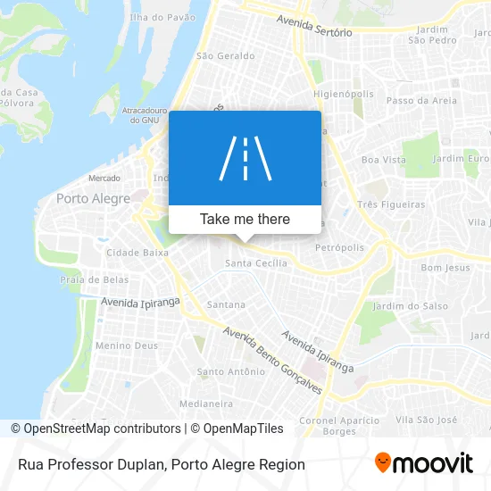 Rua Professor Duplan map