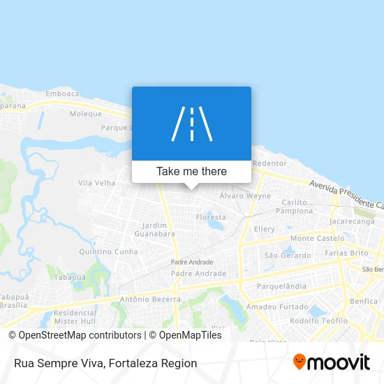 Rua Sempre Viva map