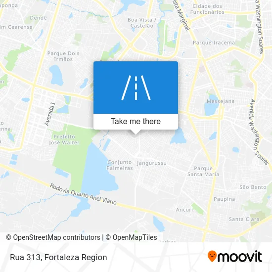Rua 313 map