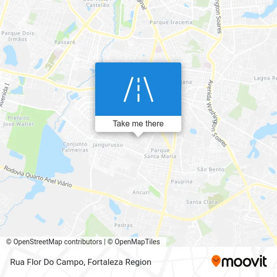 Rua Flor Do Campo map