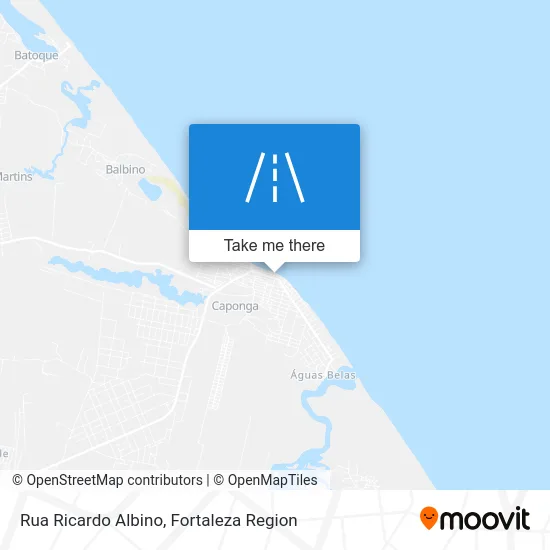 Rua Ricardo Albino map