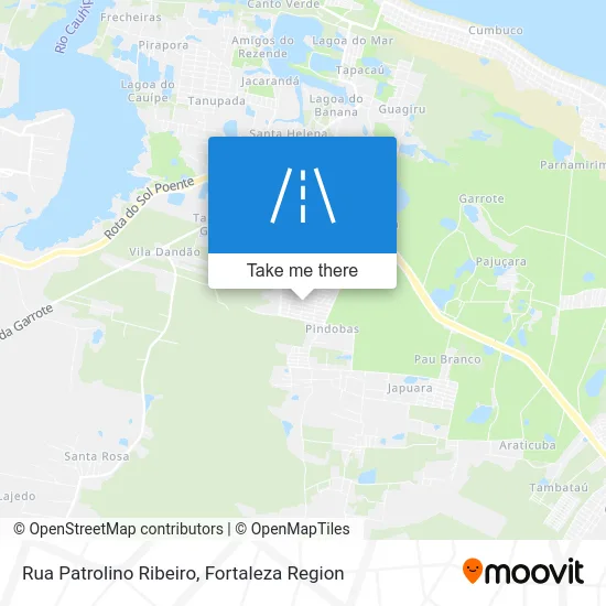Rua Patrolino Ribeiro map