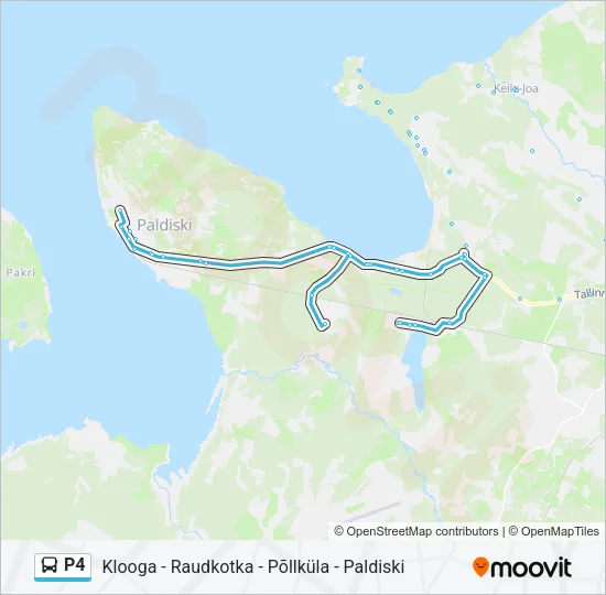 P4 Bus Line Map