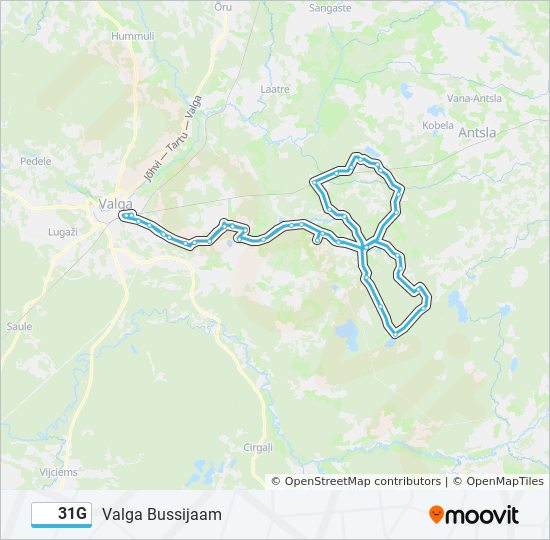 Автобус 31G: карта маршрута
