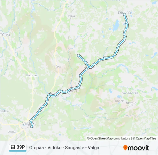 39P Bus Line Map