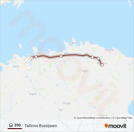 390 Bus Line Map