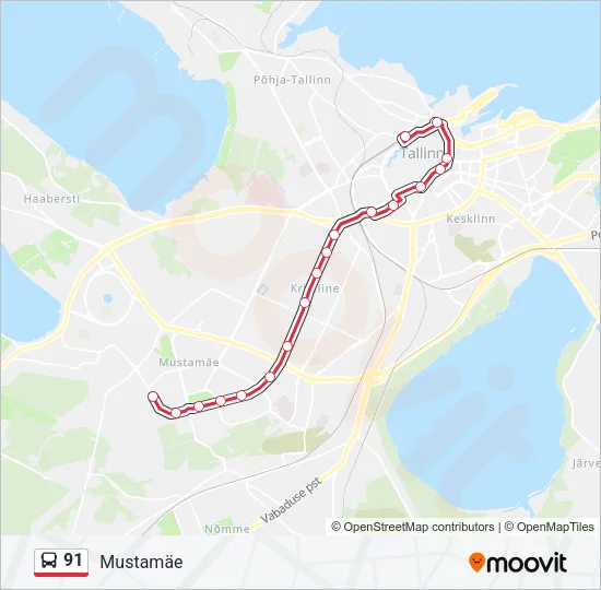 91 Bus Line Map