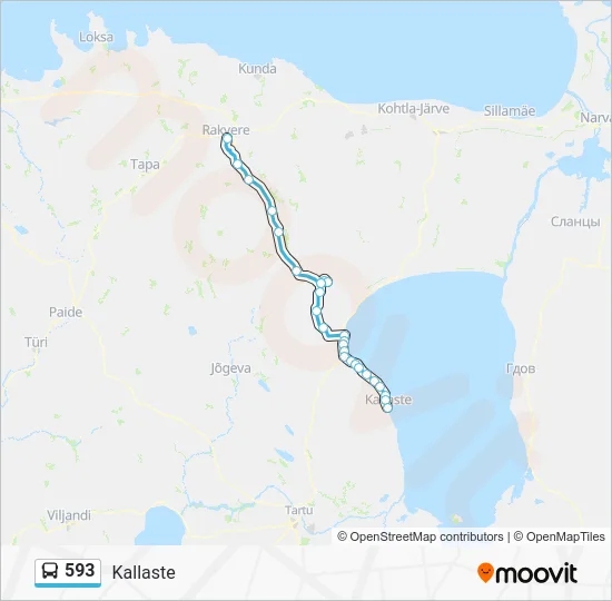 Автобус 593: карта маршрута