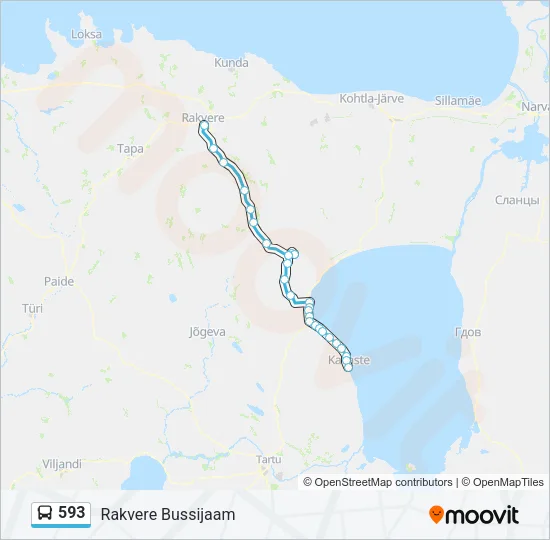 593 Bus Line Map