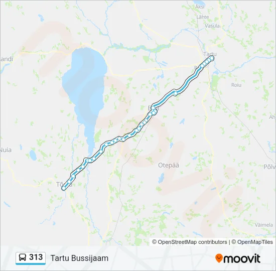 313 Bus Line Map